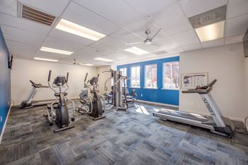 Weight machine - 2 ellipticals - 2 treadmills - carpeted flooring